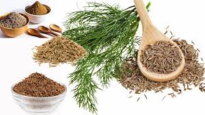 জিরা চাষ কৌশল